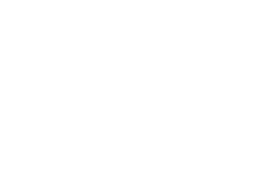 Bridgestone-logo_wit